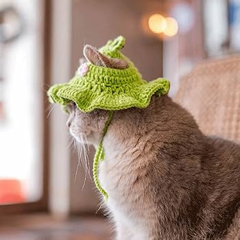 小物 ANDWANG Fluffy cat knit hat DSC04753_974be857-7770-40d7-